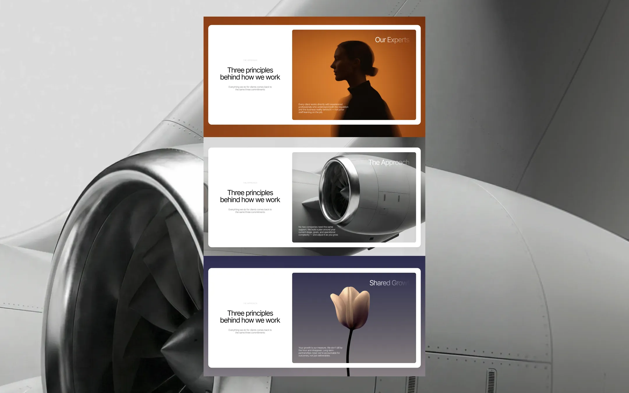 Altum™ gallery image 2