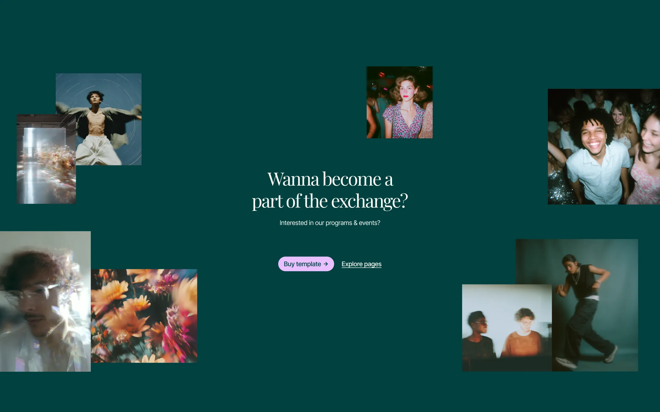 Culture Exchange gallery image 4