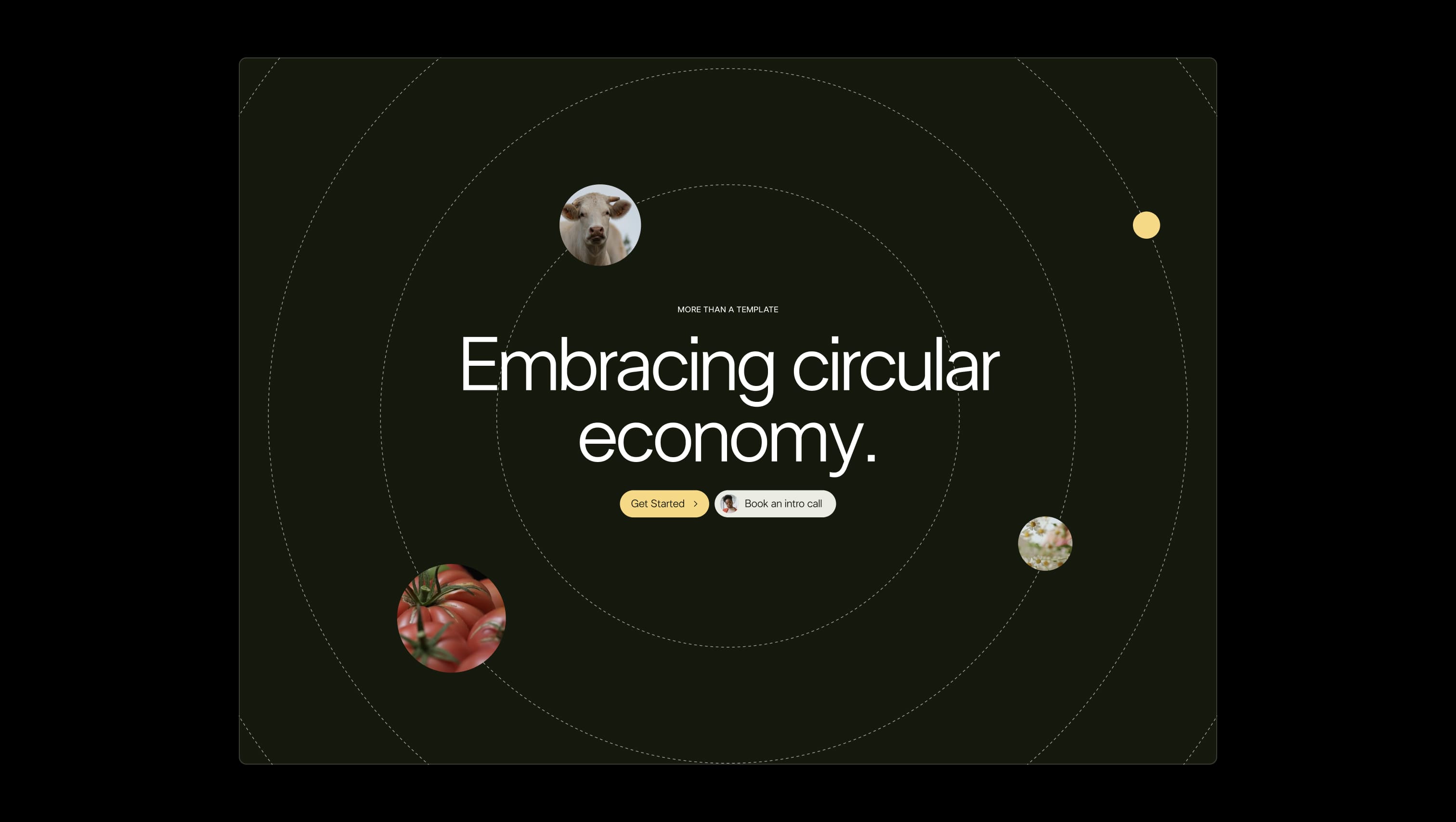Hero with Circular Elements
