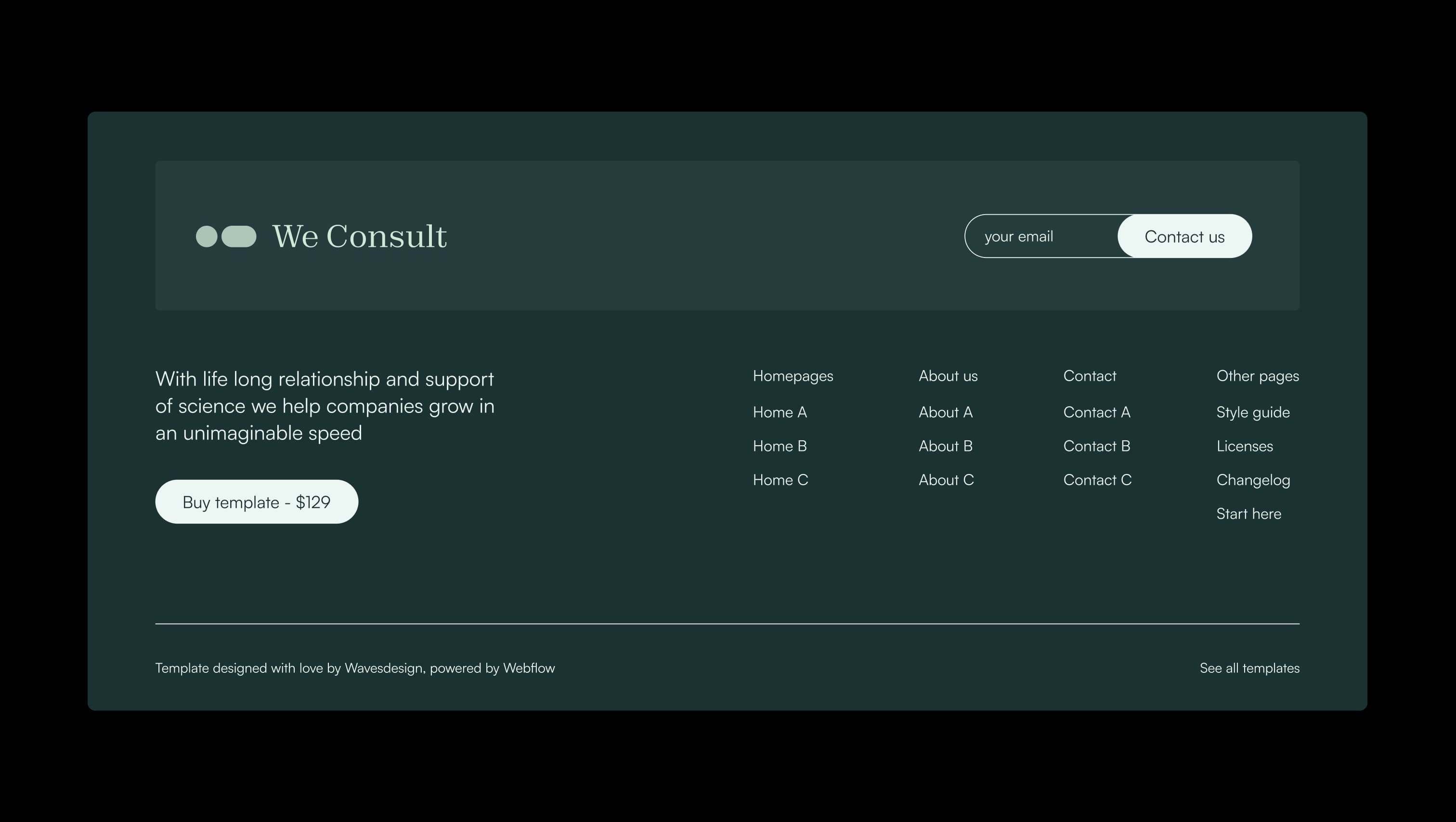 Footer with Newsletter Form